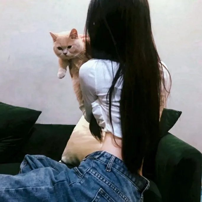 求职记